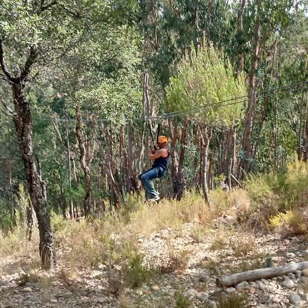 Quinta Do Outeiro Alto Villa Constância Dış mekan fotoğraf