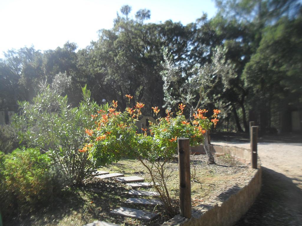 Quinta Do Outeiro Alto Villa Constância Dış mekan fotoğraf