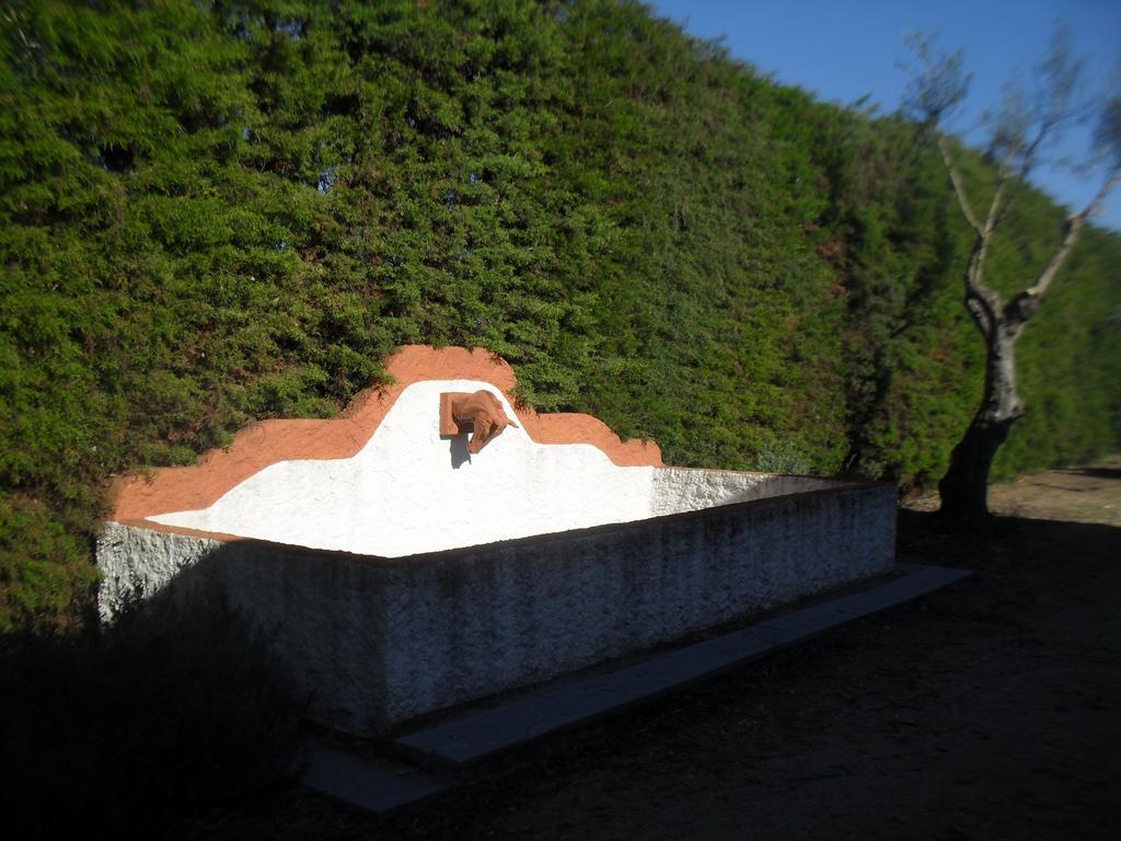 Quinta Do Outeiro Alto Villa Constância Dış mekan fotoğraf