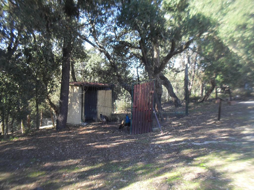 Quinta Do Outeiro Alto Villa Constância Dış mekan fotoğraf