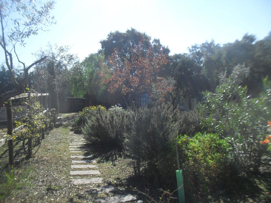 Quinta Do Outeiro Alto Villa Constância Dış mekan fotoğraf