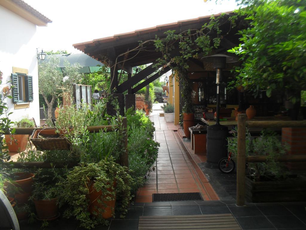 Quinta Do Outeiro Alto Villa Constância Dış mekan fotoğraf