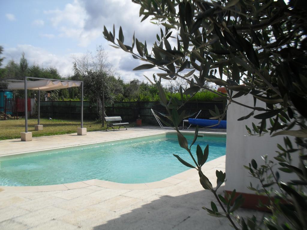 Quinta Do Outeiro Alto Villa Constância Dış mekan fotoğraf