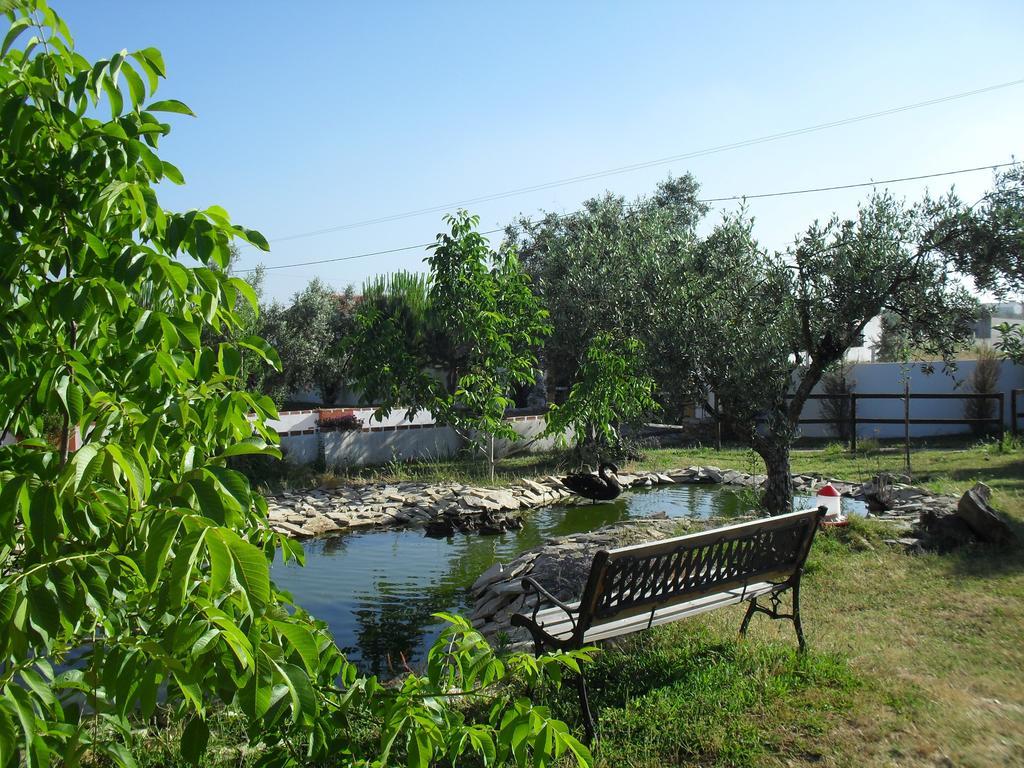 Quinta Do Outeiro Alto Villa Constância Dış mekan fotoğraf