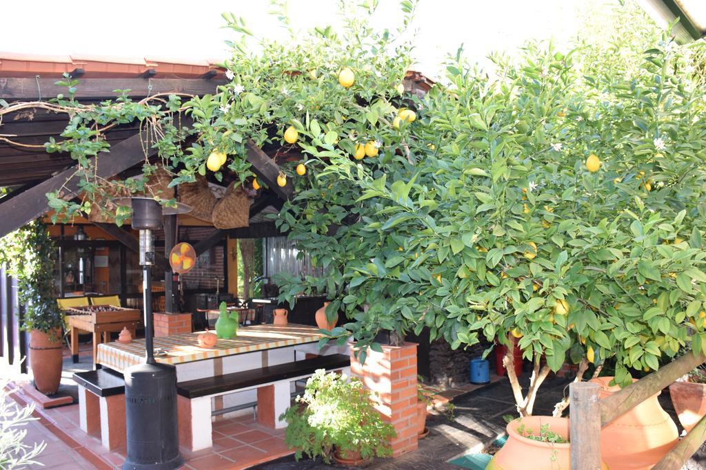 Quinta Do Outeiro Alto Villa Constância Dış mekan fotoğraf