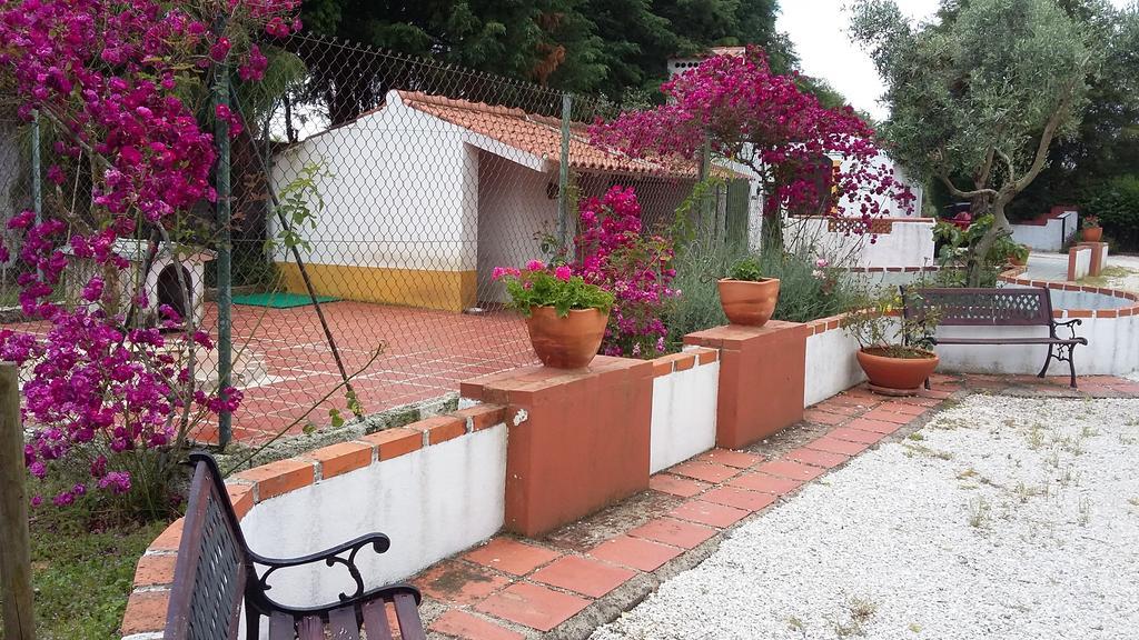 Quinta Do Outeiro Alto Villa Constância Dış mekan fotoğraf