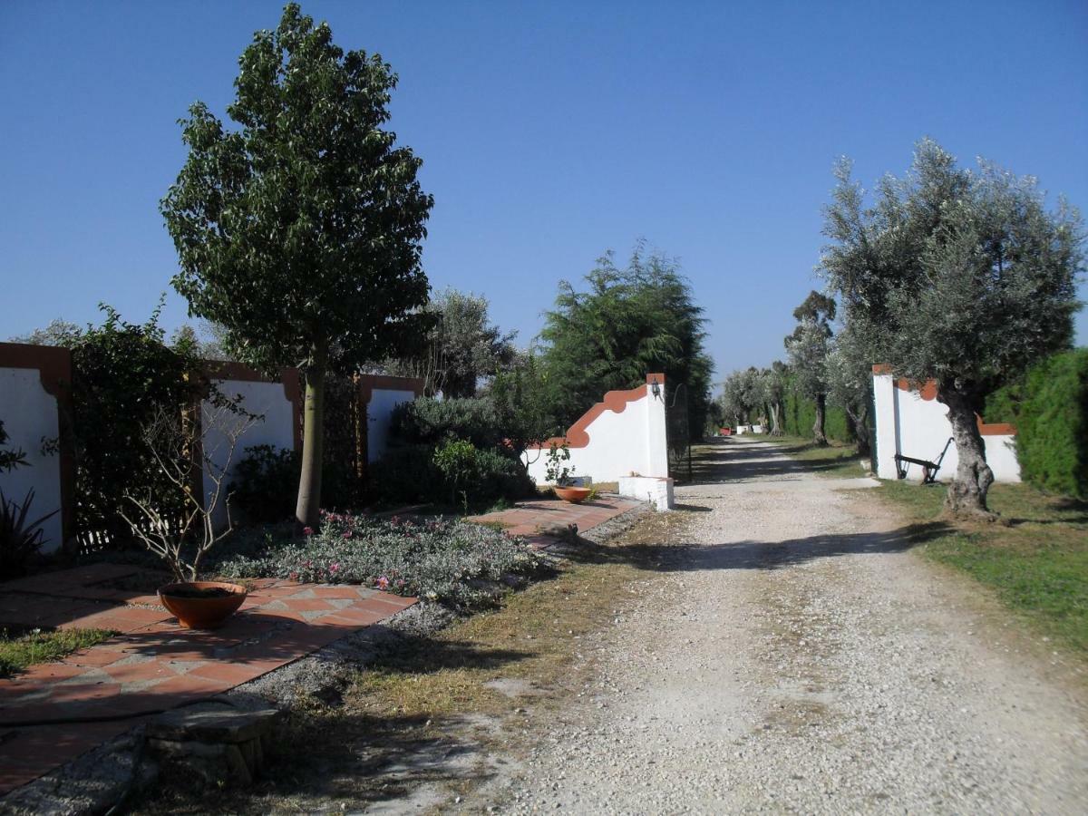 Quinta Do Outeiro Alto Villa Constância Dış mekan fotoğraf